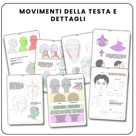 Disegnare la Testa con Semplicità